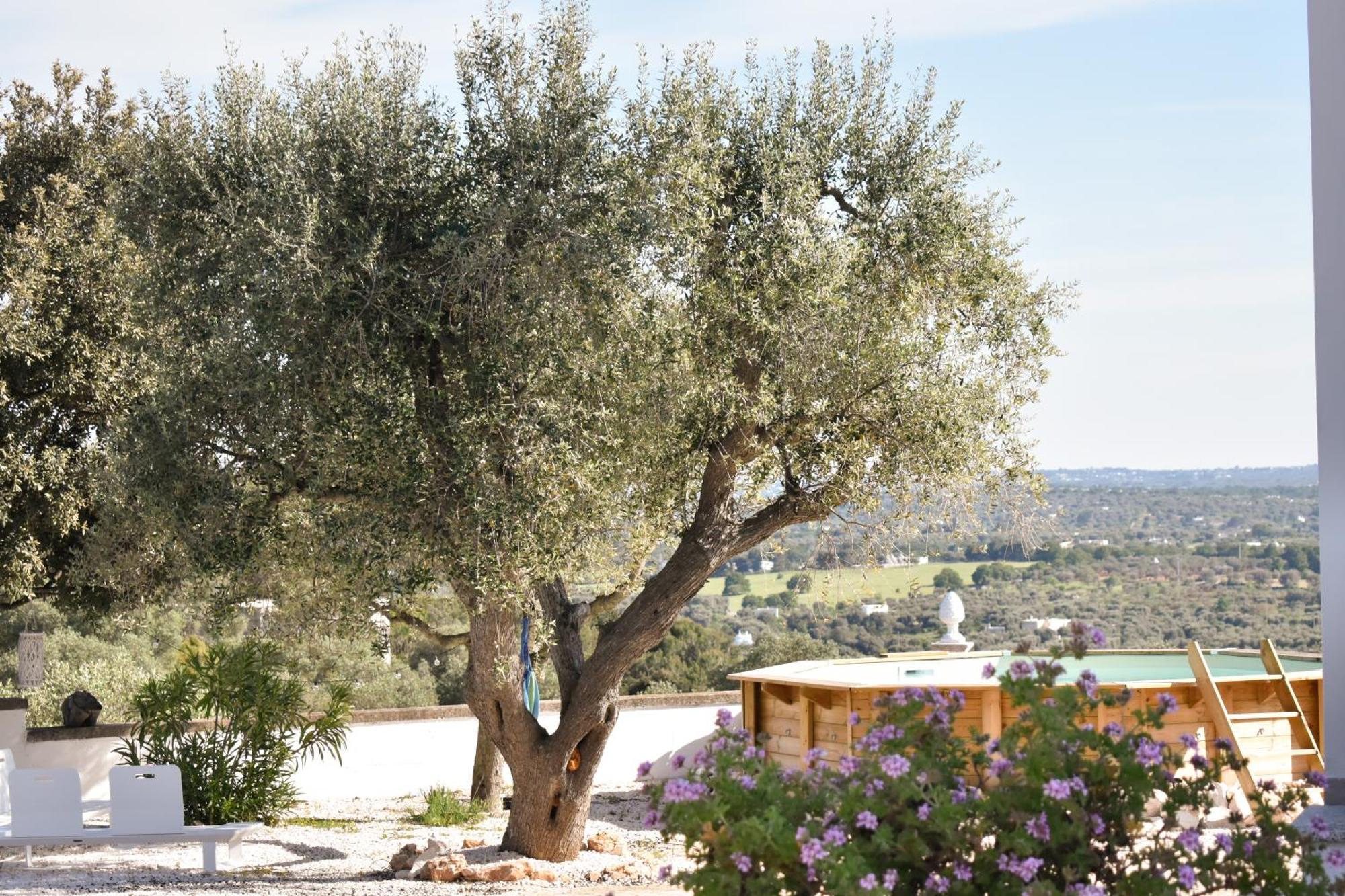Terre D'Amore - For Couples Hotel Ostuni Buitenkant foto