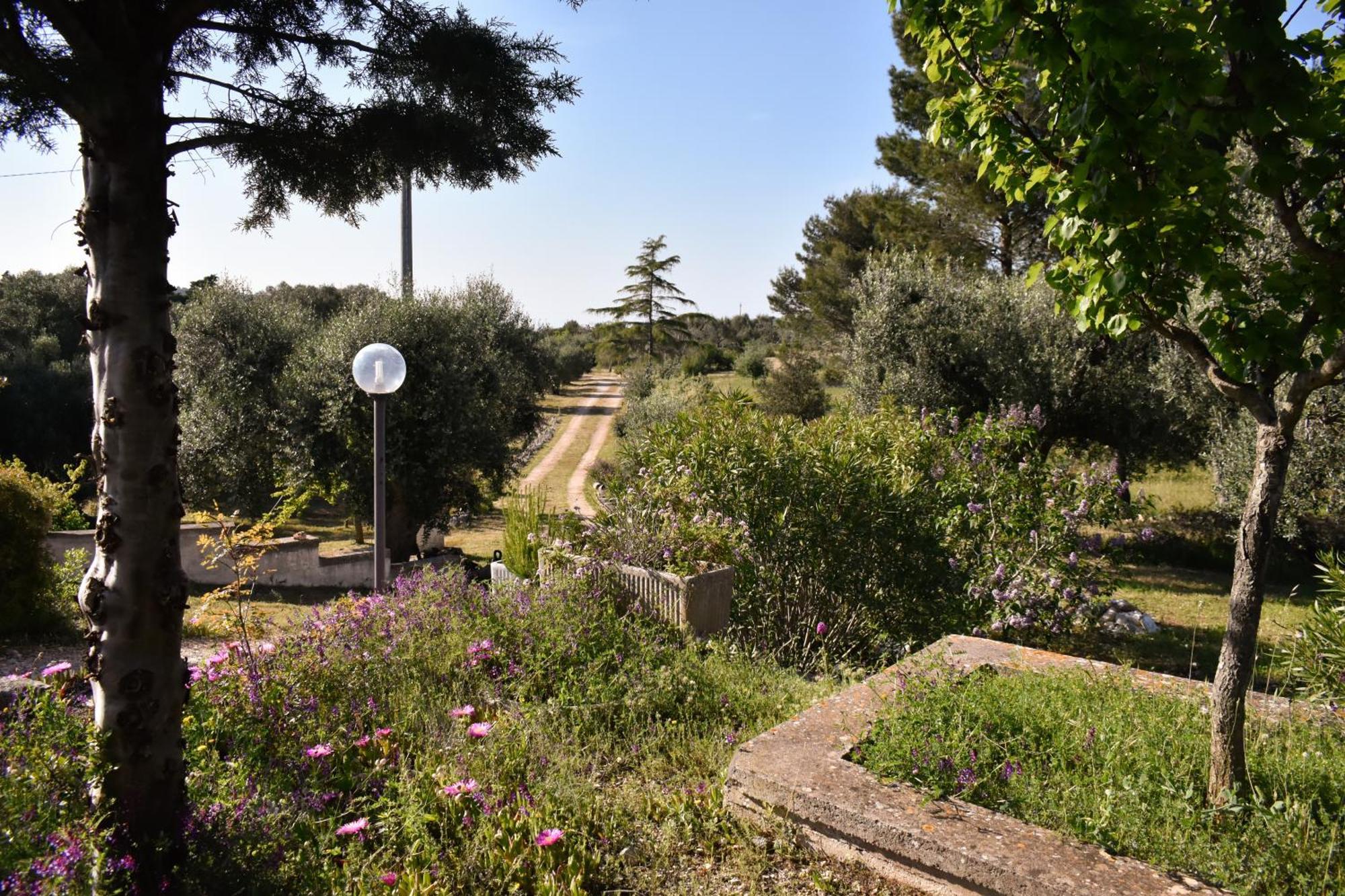 Terre D'Amore - For Couples Hotel Ostuni Buitenkant foto